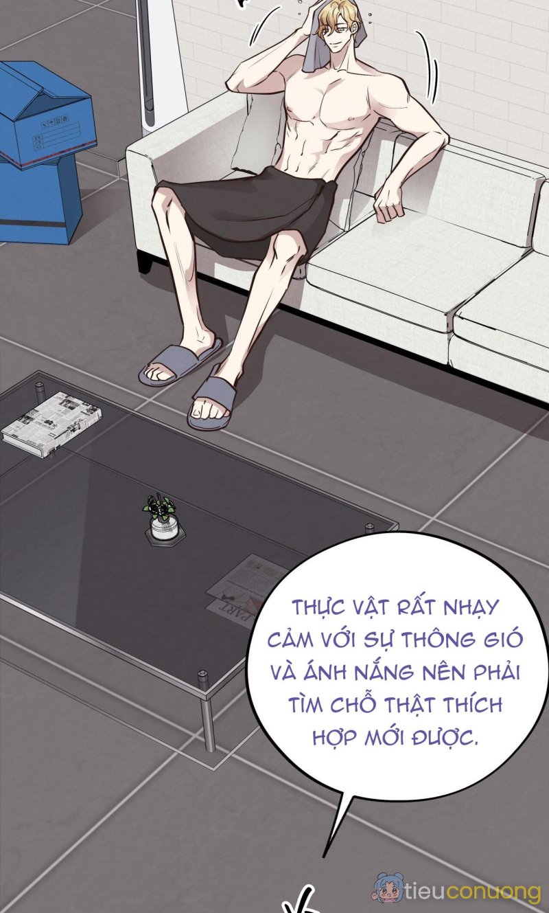 HONEY BEAR Chapter 46 - Page 31