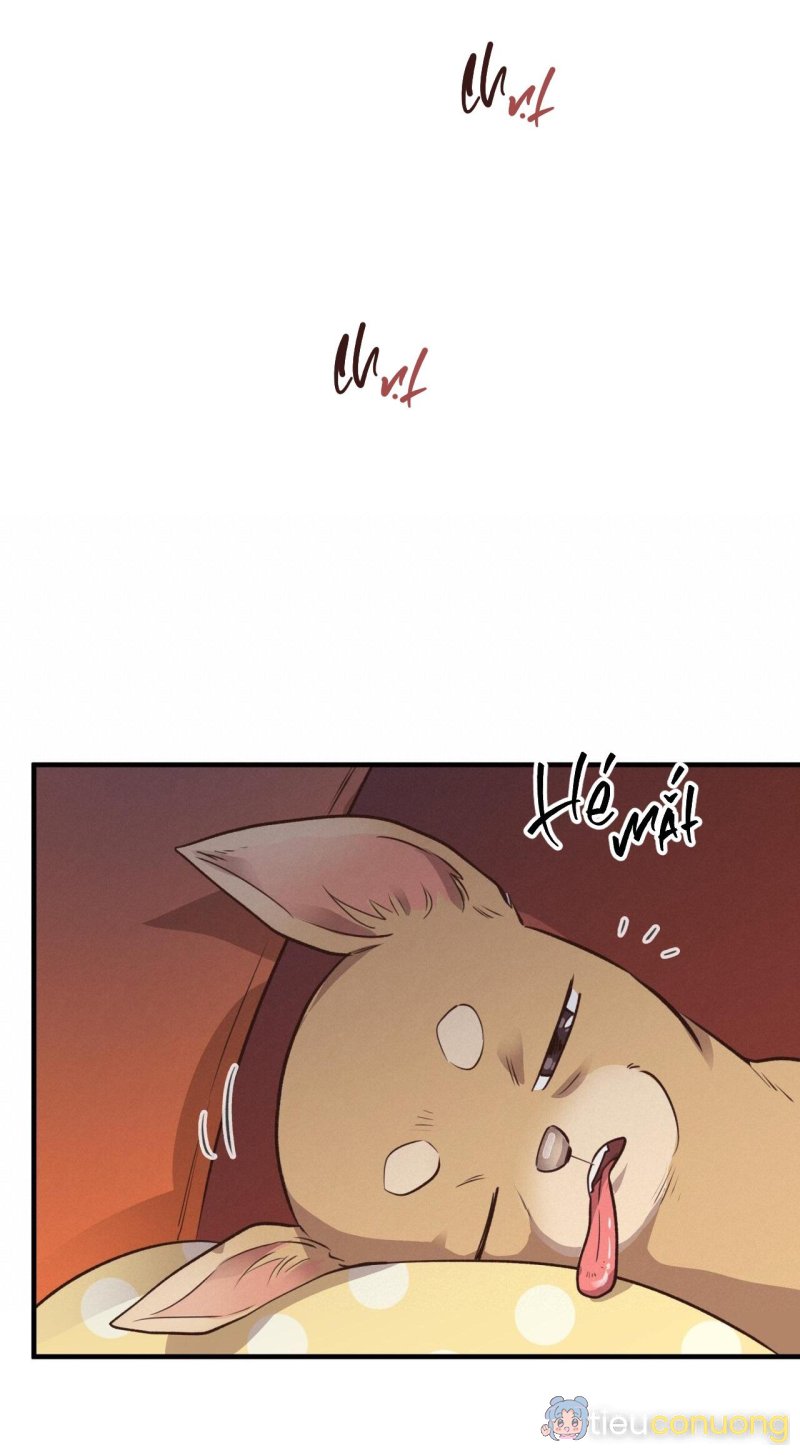 HONEY BEAR Chapter 26 - Page 67