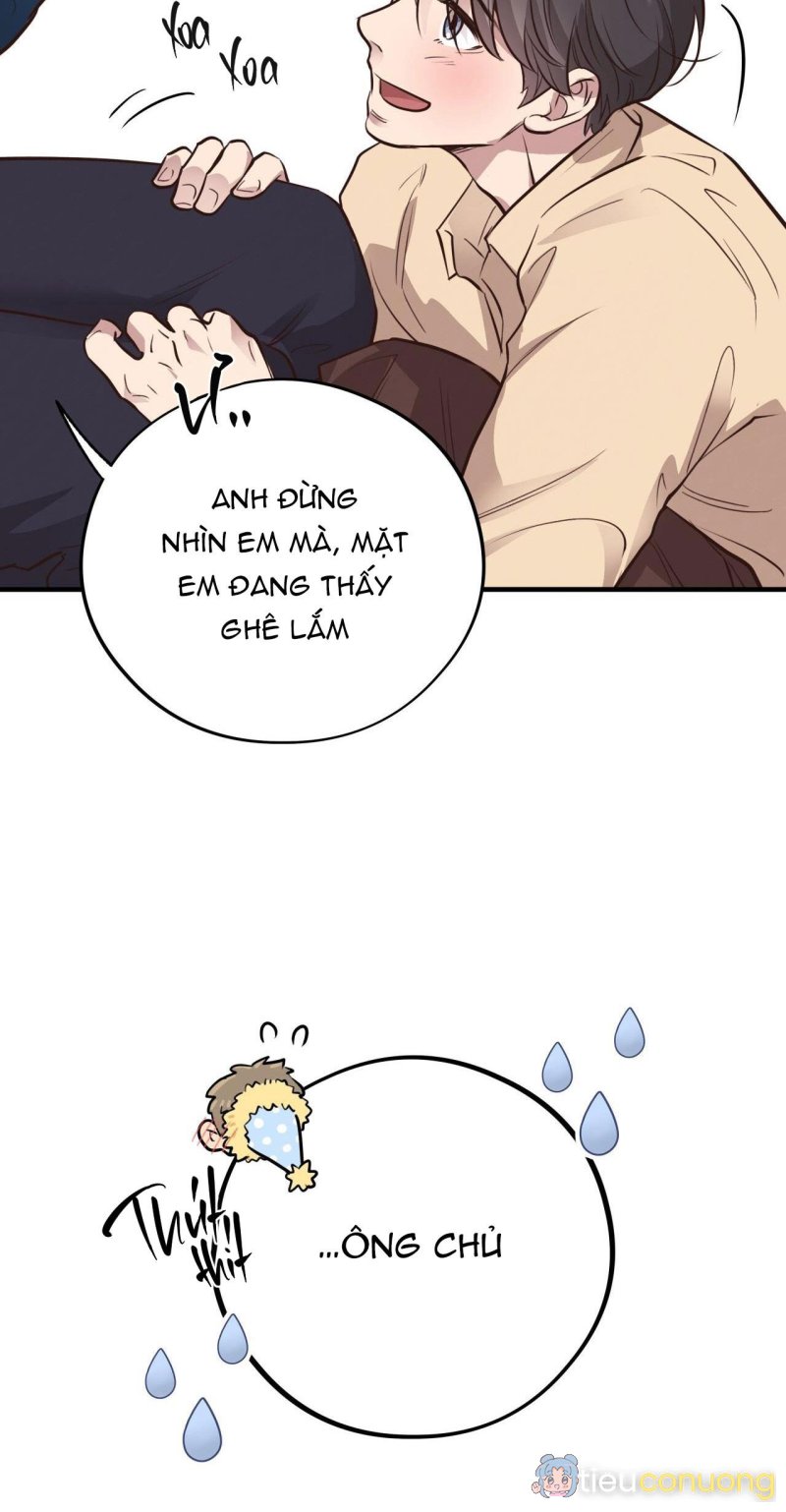 HONEY BEAR Chapter 32 - Page 48