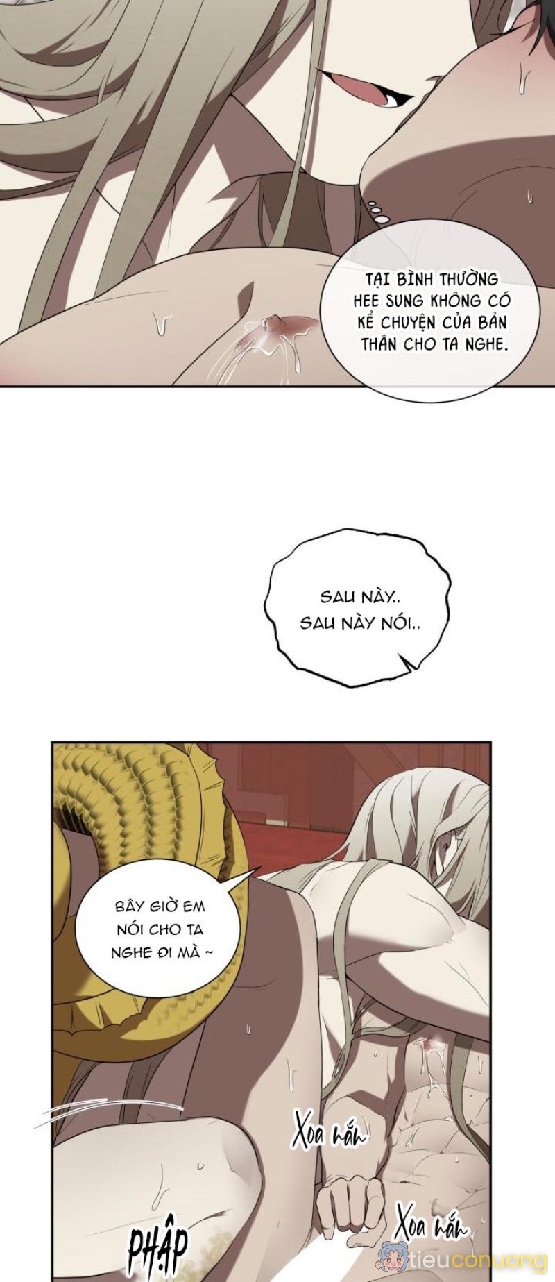 DƯỠNG THÚ CƯNG Chapter 54 - Page 29