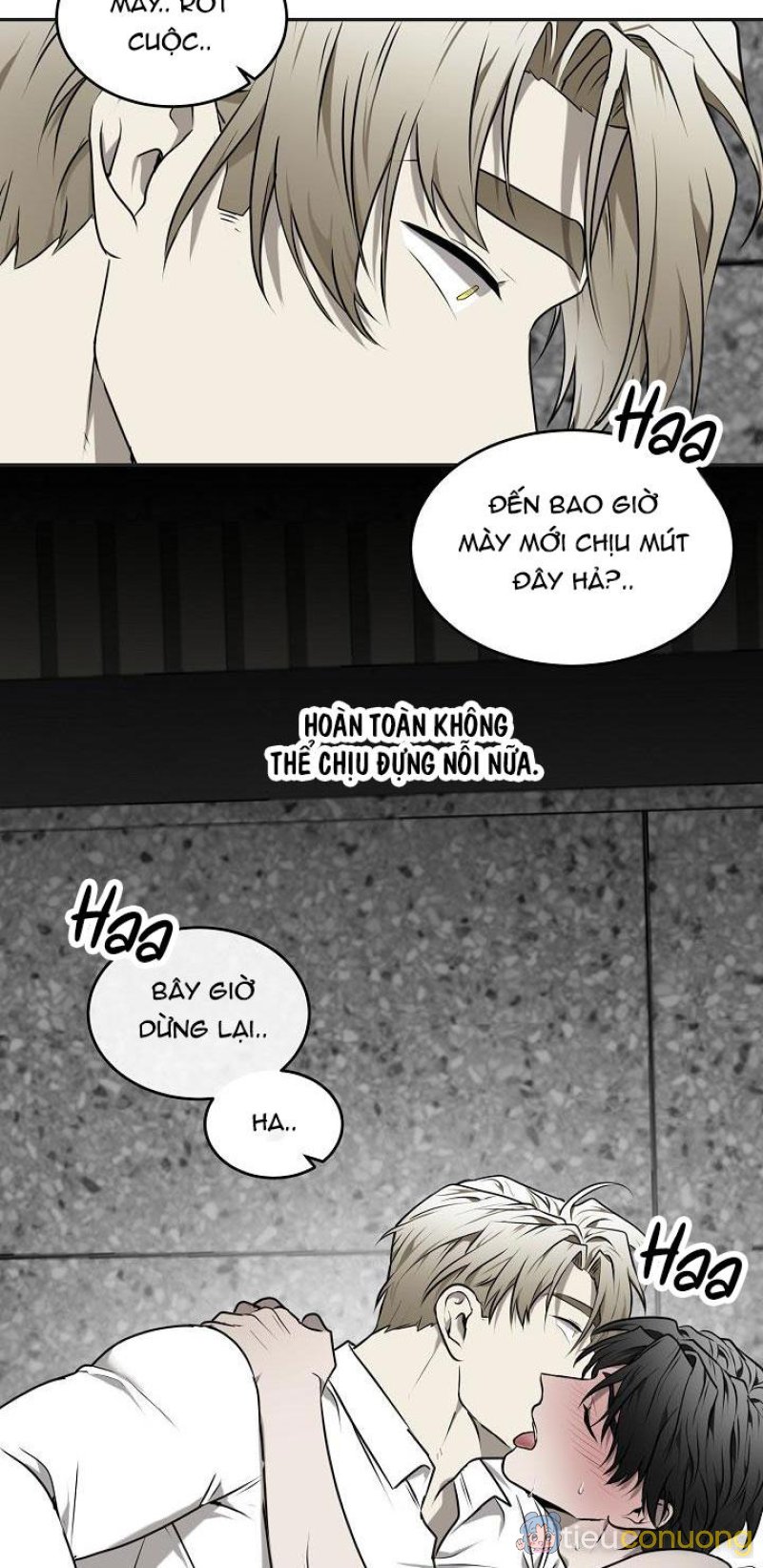 DƯỠNG THÚ CƯNG Chapter 24 - Page 45