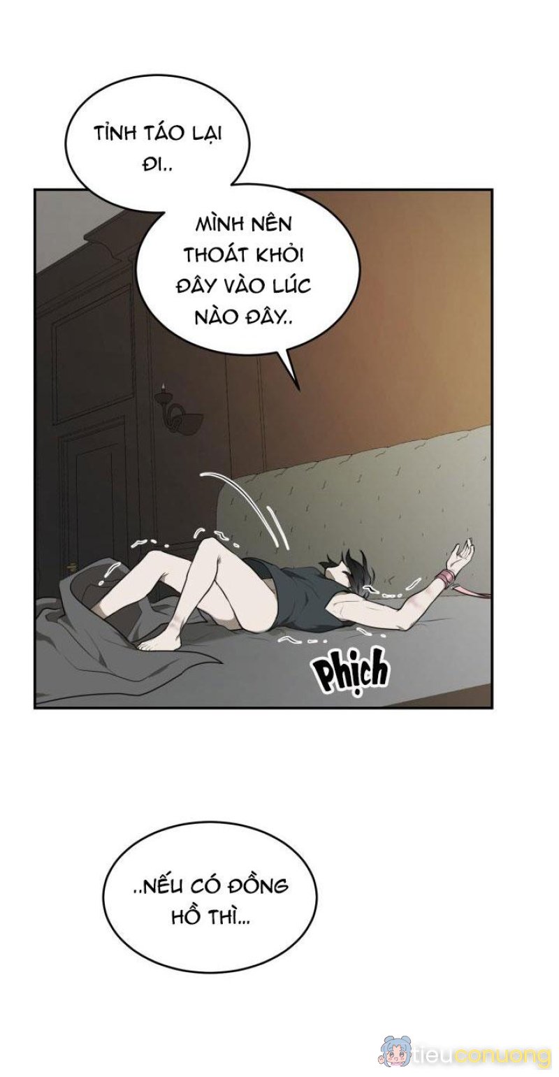 DƯỠNG THÚ CƯNG Chapter 6 - Page 61