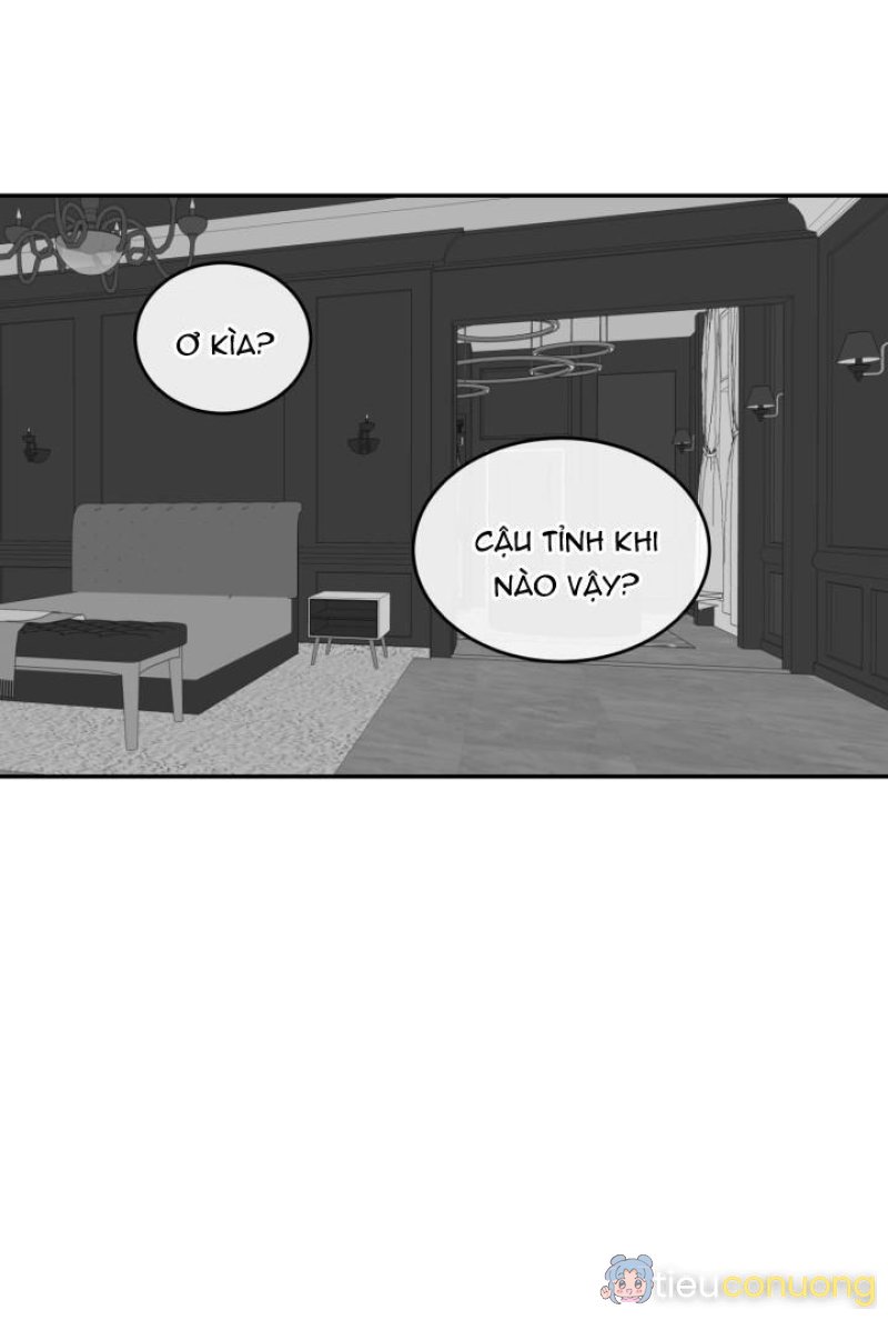 DƯỠNG THÚ CƯNG Chapter 4 - Page 8