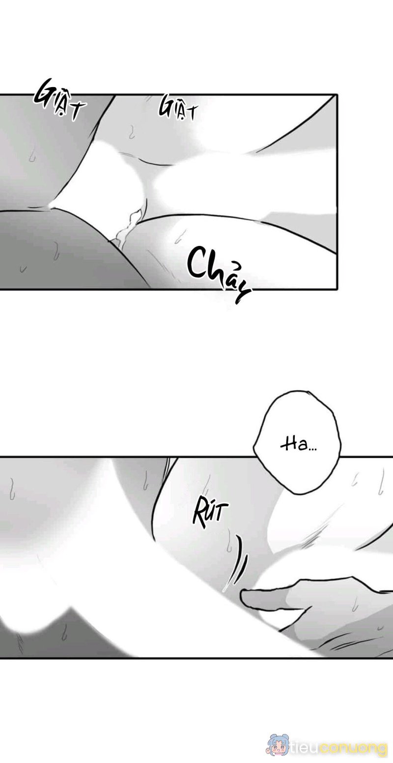 Chúng Ta Đều Là Kẻ Ngốc Chapter 18 - Page 13