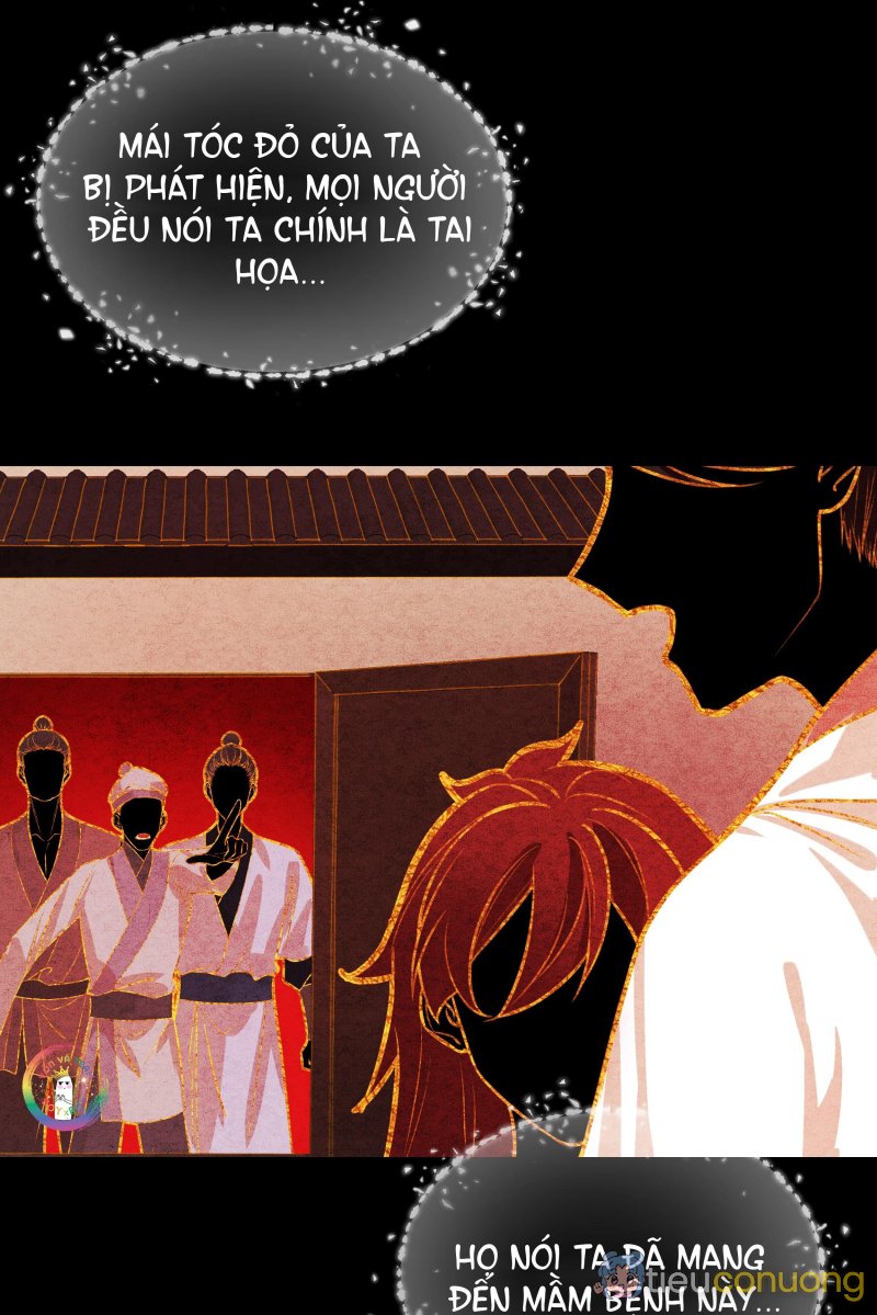 Bản Toạ Nuôi Quỷ Hút Máu Ở Tông Môn (END) Chapter 16 - Page 12