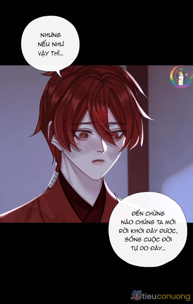 Bản Toạ Nuôi Quỷ Hút Máu Ở Tông Môn (END) Chapter 72 - Page 13