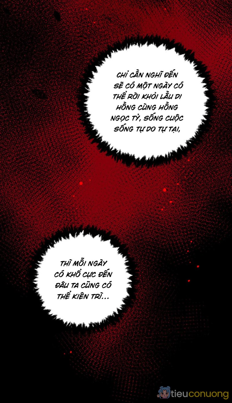 Bản Toạ Nuôi Quỷ Hút Máu Ở Tông Môn (END) Chapter 72 - Page 18