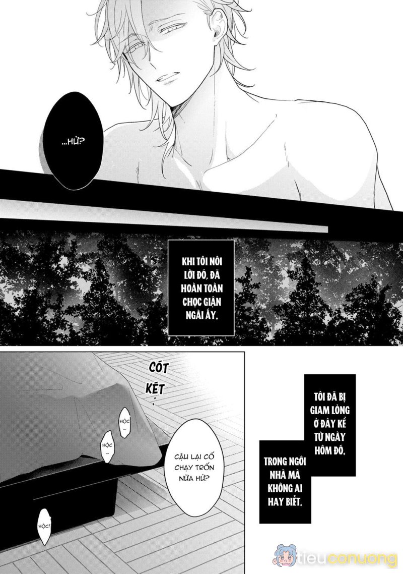 Beta đáng thương không biết yêu Chapter 5 - Page 13