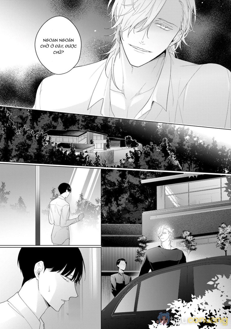 Beta đáng thương không biết yêu Chapter 5 - Page 5