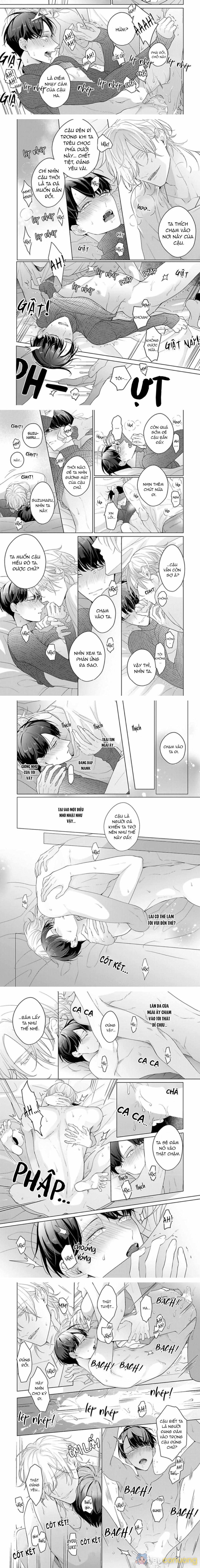 Beta đáng thương không biết yêu Chapter 7 - Page 11