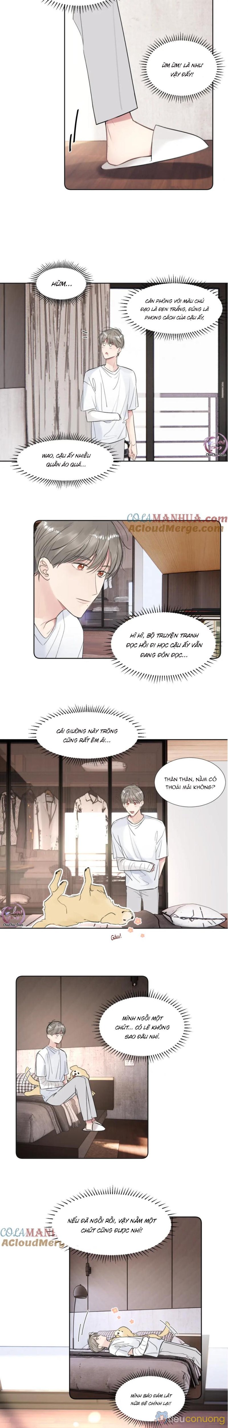 Chó Chuộc Tội Chapter 35 - Page 6