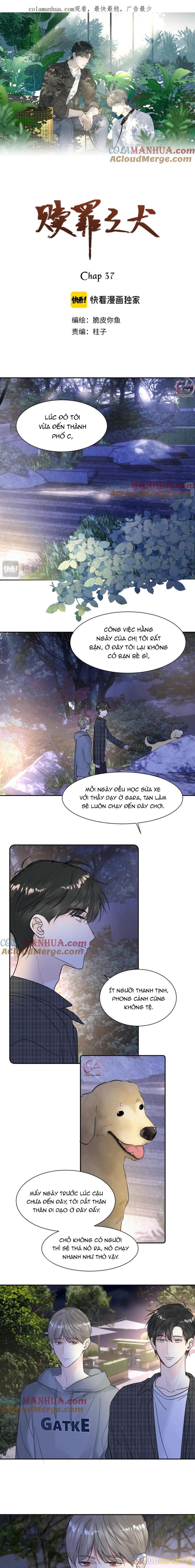 Chó Chuộc Tội Chapter 37 - Page 1