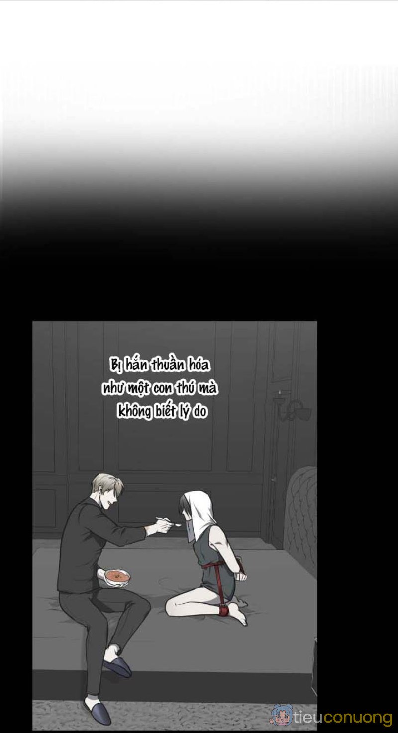 VIVARIUM Chapter 9 - Page 49