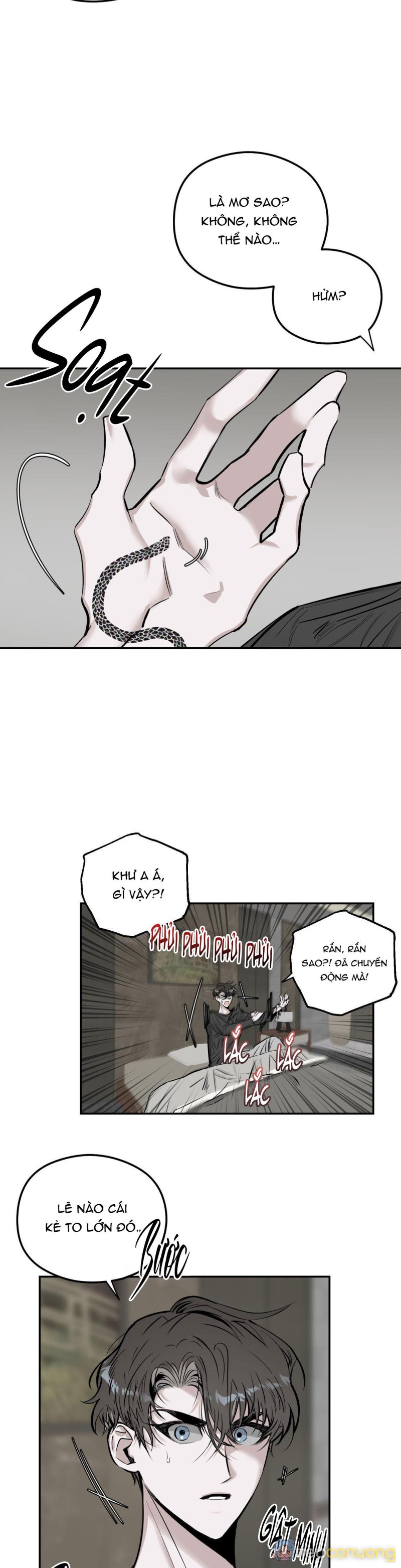 BÓNG RẮN DƯỚI ÁNH TRĂNG Chapter 2 - Page 12