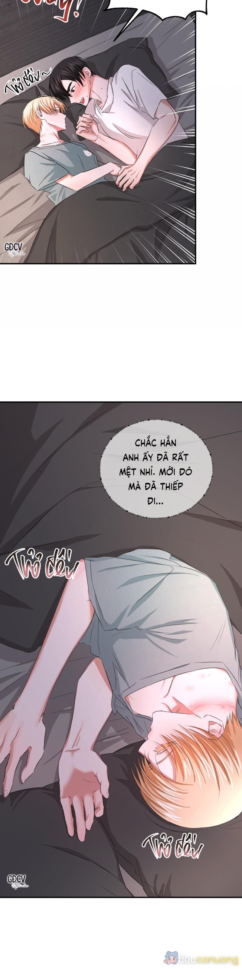 Thời Gian Hoàn Hảo Của Cô Tiểu Thư Chapter 18 - Page 11