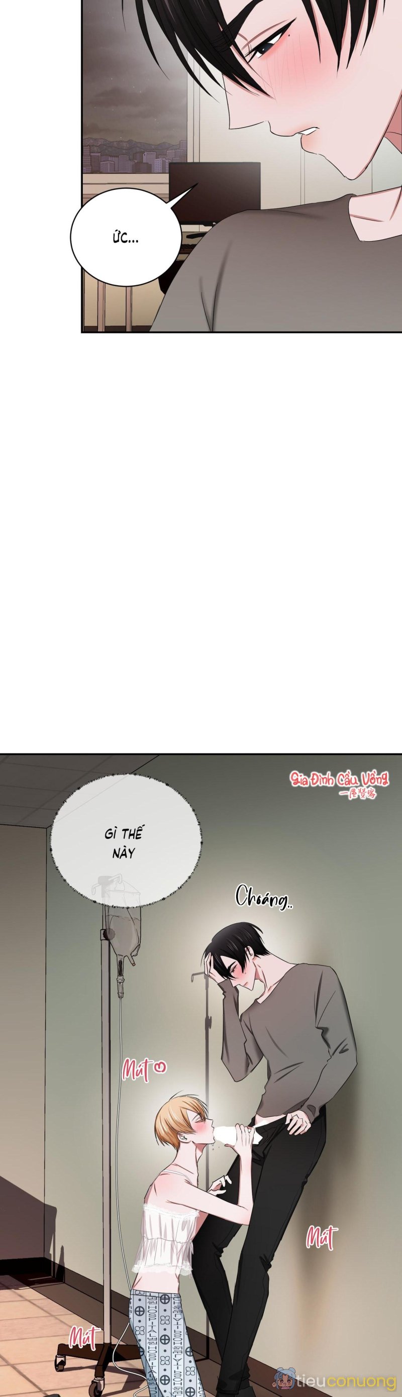 Thời Gian Hoàn Hảo Của Cô Tiểu Thư Chapter 11 - Page 5