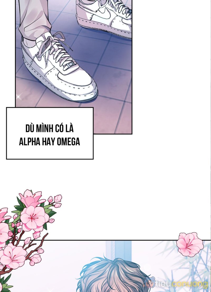 Ngày Trời Nắng Đẹp Chapter 1 - Page 33