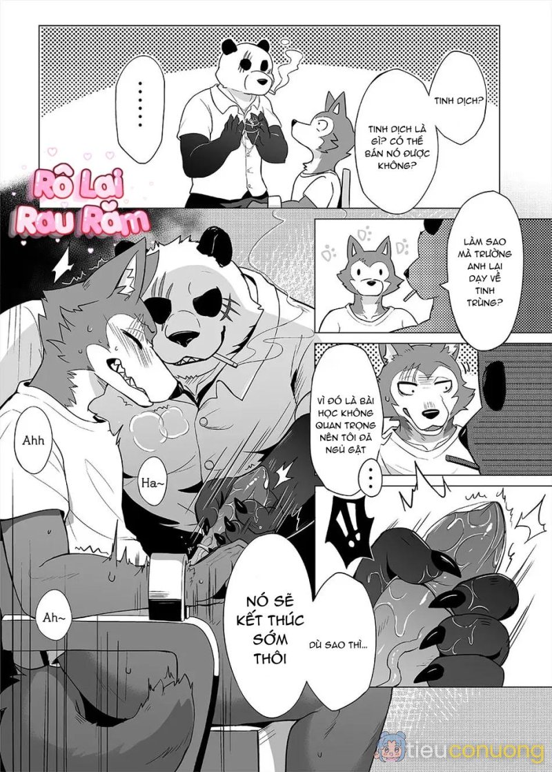 TUYỂN TẬP GÂY NỨNG NHÀ RÔ Chapter 242 - Page 5