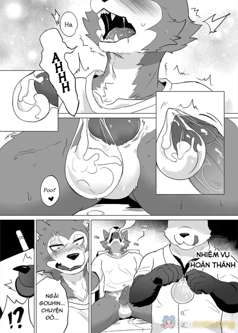 TUYỂN TẬP GÂY NỨNG NHÀ RÔ Chapter 242 - Page 6