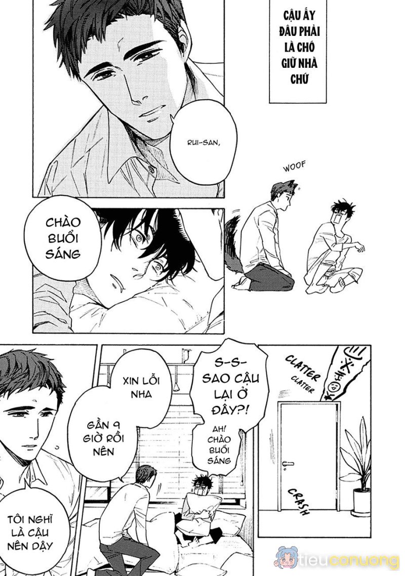 Liệu tôi có thể trói cậu lại được chứ Yakuza-san Chapter 1 - Page 18