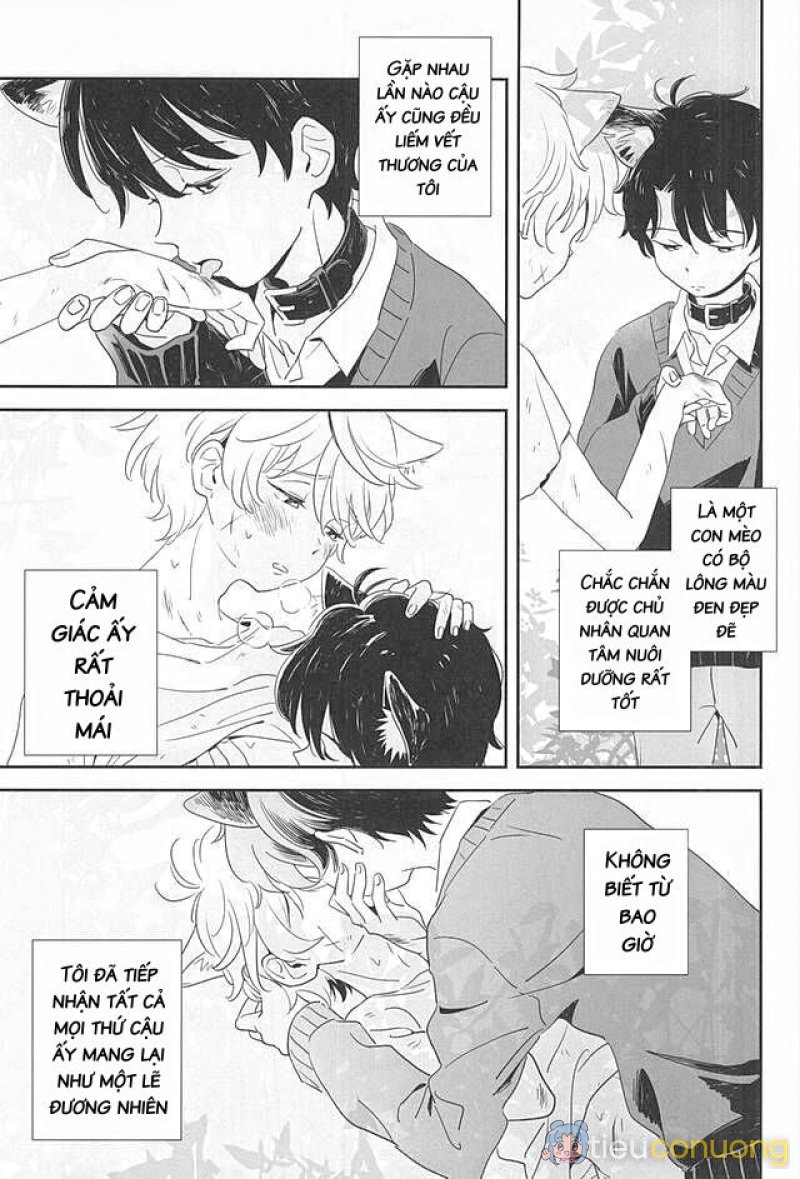 Động Oneshot Yaoi Nhà Thỏ Chapter 29 - Page 3