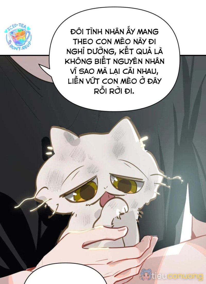 Tôi có bệnh Chapter 37 - Page 17