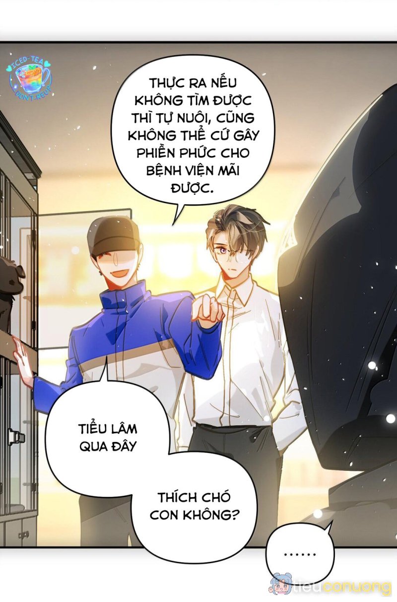 Tôi có bệnh Chapter 71 - Page 24