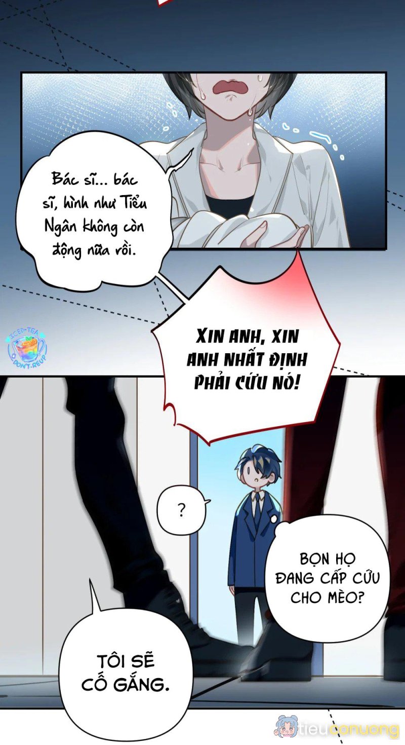 Tôi có bệnh Chapter 18 - Page 2