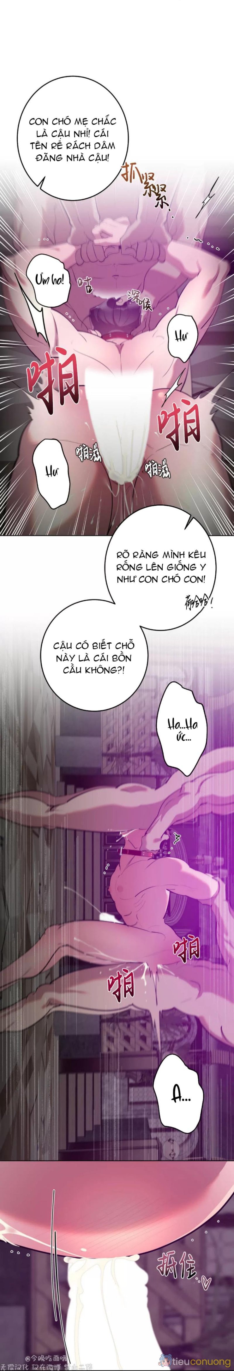 Sạp sỉ lẻ cam hai tú Chapter 6.4 - Page 15