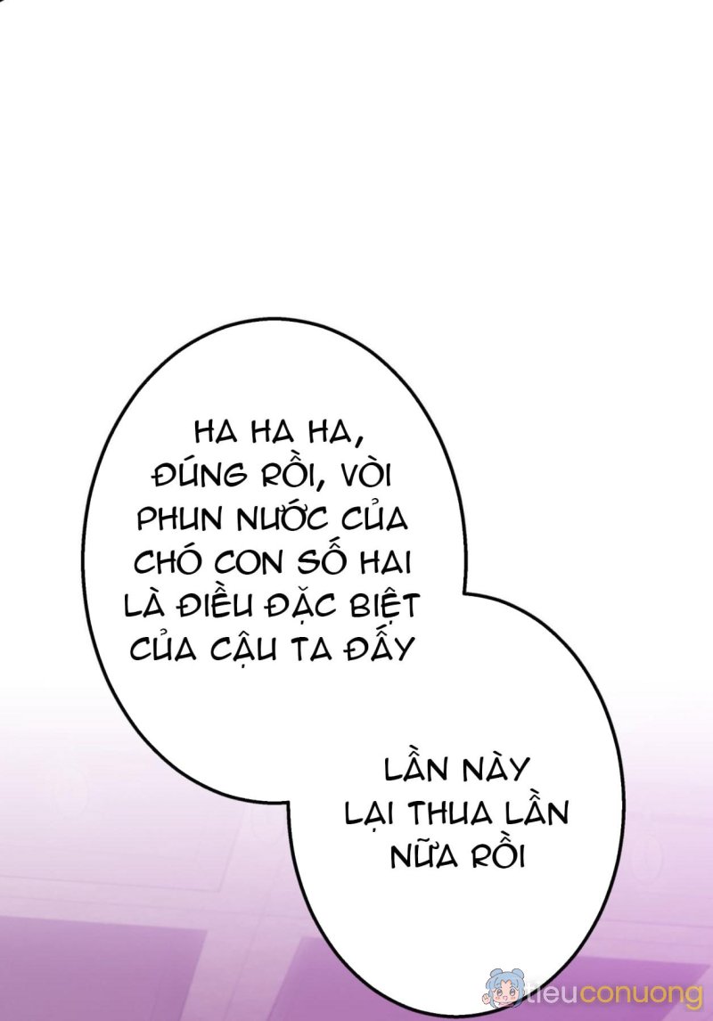 Sạp sỉ lẻ cam hai tú Chapter 6.6 - Page 13