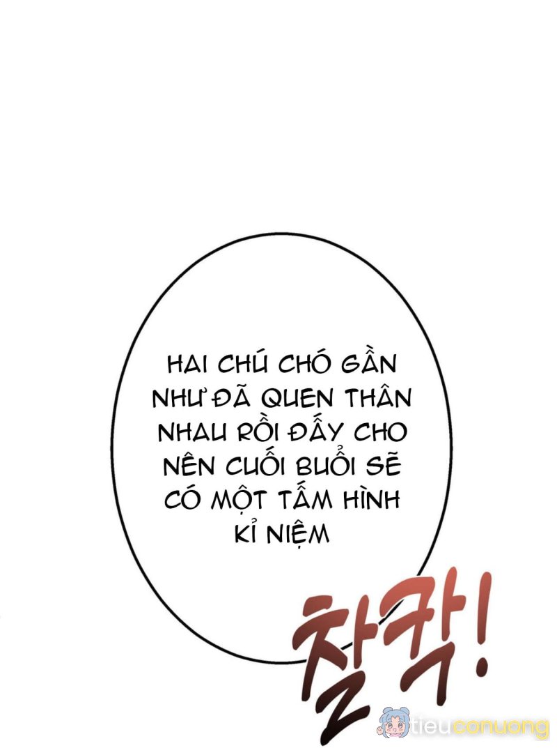 Sạp sỉ lẻ cam hai tú Chapter 6.6 - Page 52