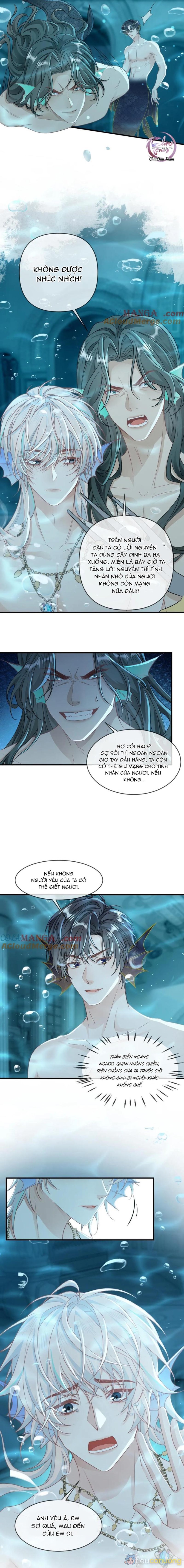 Khát Vọng Ngọt Ngào Chapter 164 - Page 3