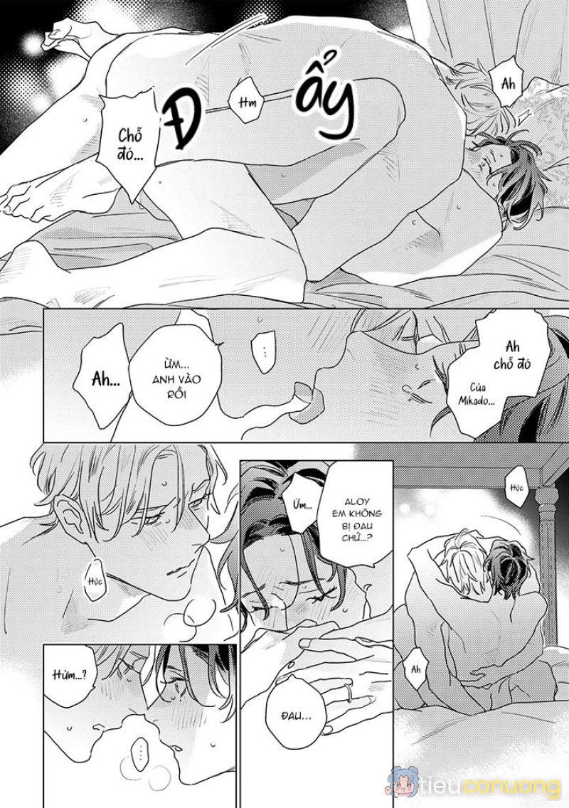 BÍ MẬT THẦM LẶNG GIỮA VÀNG VÀ BẠC LÀ MÀN ĐÊM Chapter 10 - Page 10