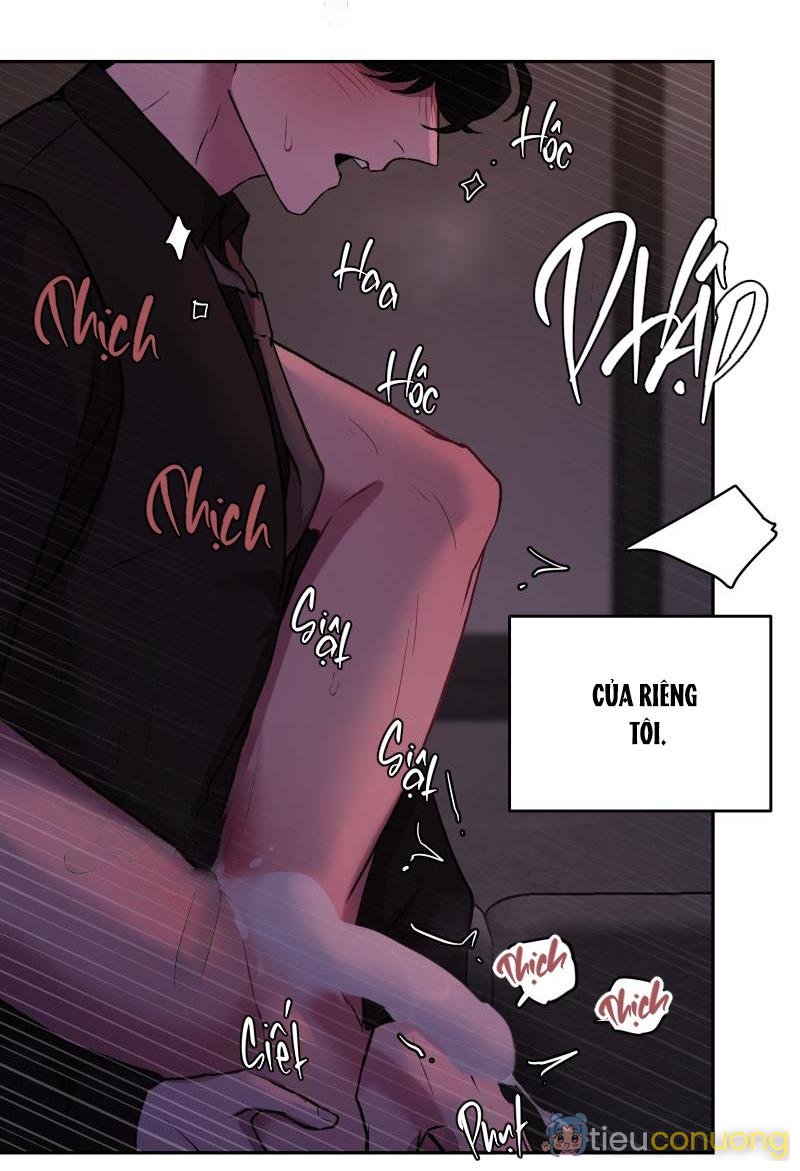 NỖI SỢ CỦA HWAN YEONG Chapter 41 - Page 12