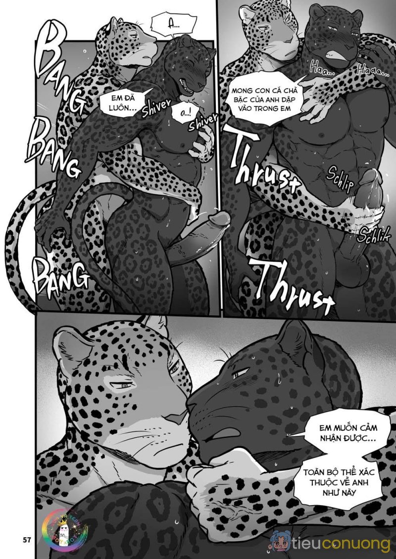 Oneshot Nhân Thú Mặn Mòi Chapter 25 - Page 17