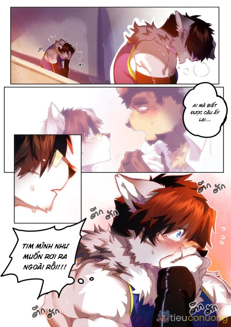 Oneshot Nhân Thú Mặn Mòi Chapter 19 - Page 17