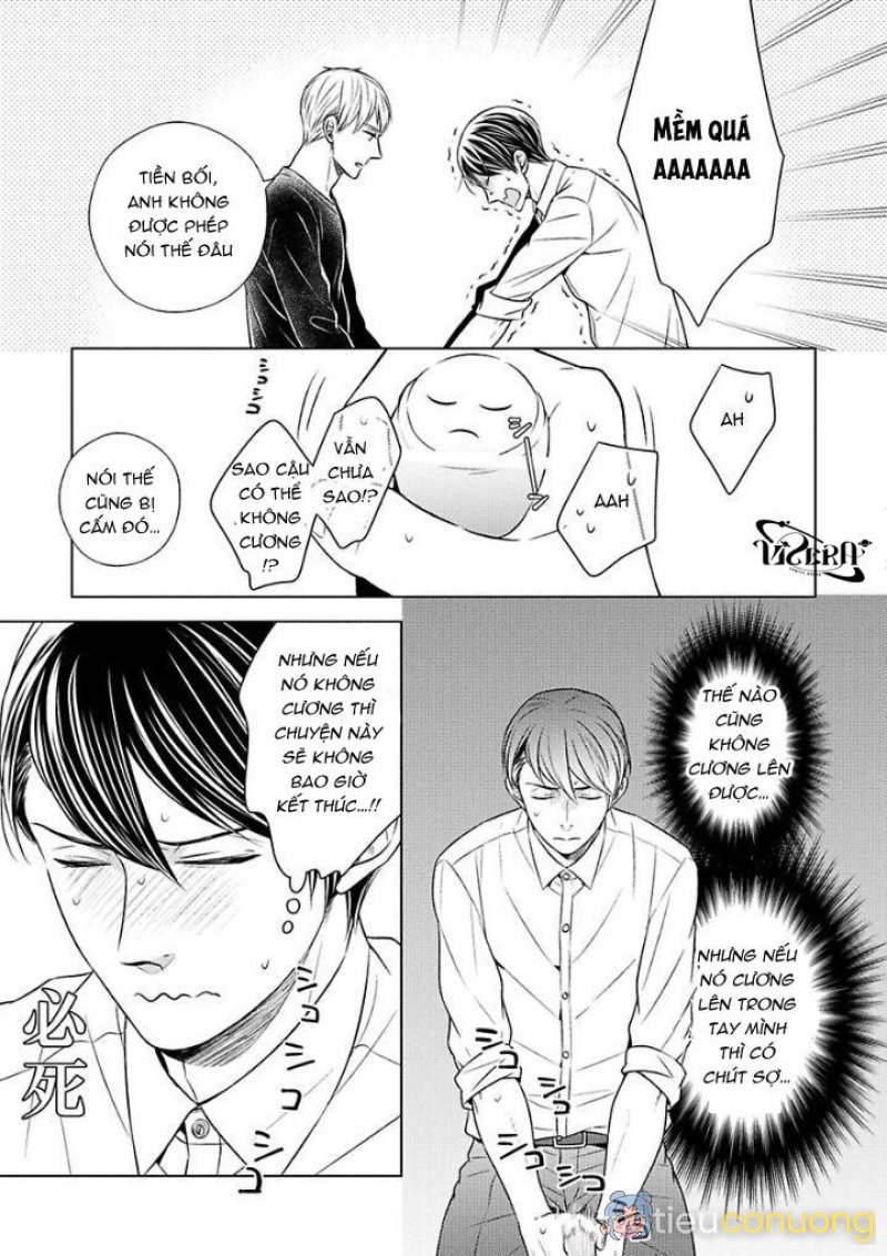 Người Tình Hoàn Hảo Của Takashima Kohichiro Chapter 2 - Page 11