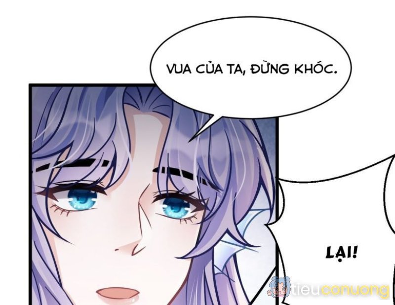 Tôi Hoài Nghi Ảnh Đế Đang Theo Đuổi Tôi Chapter 6 - Page 52