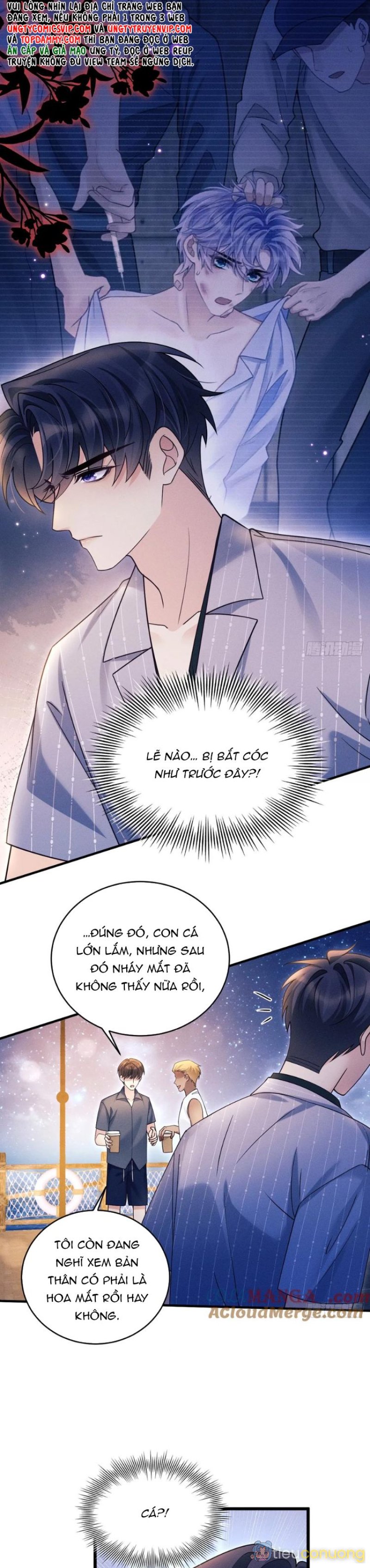 Tôi Hoài Nghi Ảnh Đế Đang Theo Đuổi Tôi Chapter 151 - Page 8