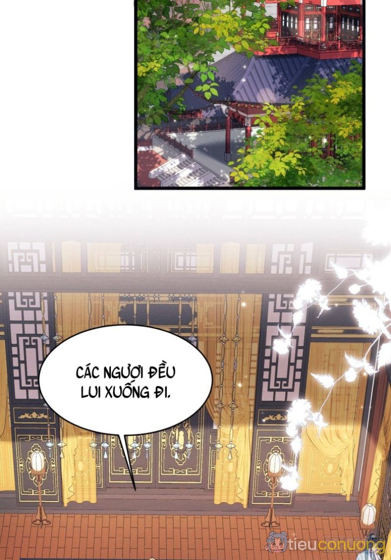 Tôi Hoài Nghi Ảnh Đế Đang Theo Đuổi Tôi Chapter 49 - Page 7