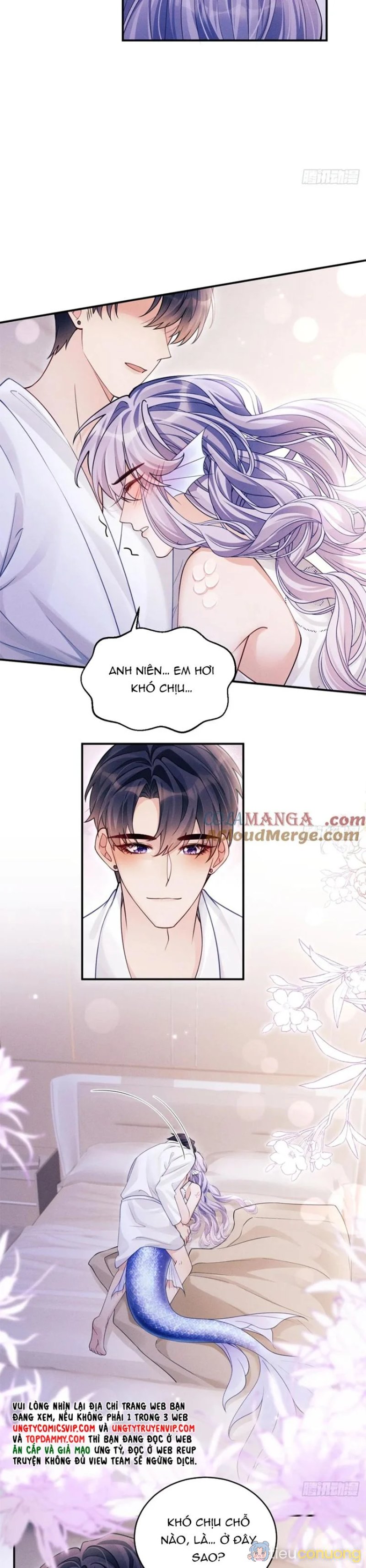 Tôi Hoài Nghi Ảnh Đế Đang Theo Đuổi Tôi Chapter 144 - Page 15