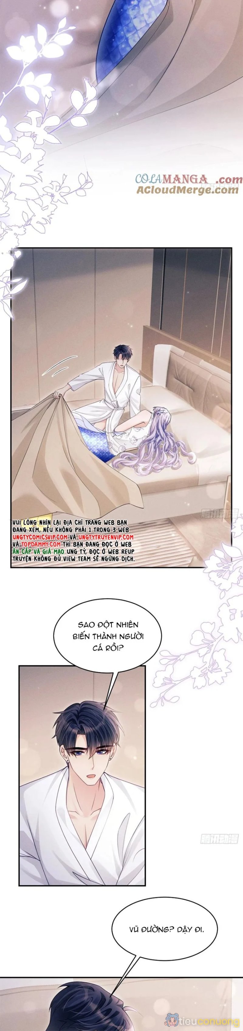 Tôi Hoài Nghi Ảnh Đế Đang Theo Đuổi Tôi Chapter 144 - Page 9