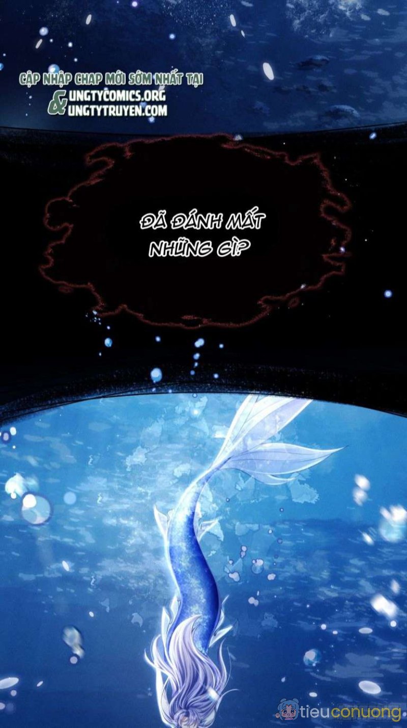 Tôi Hoài Nghi Ảnh Đế Đang Theo Đuổi Tôi Chapter 69 - Page 35