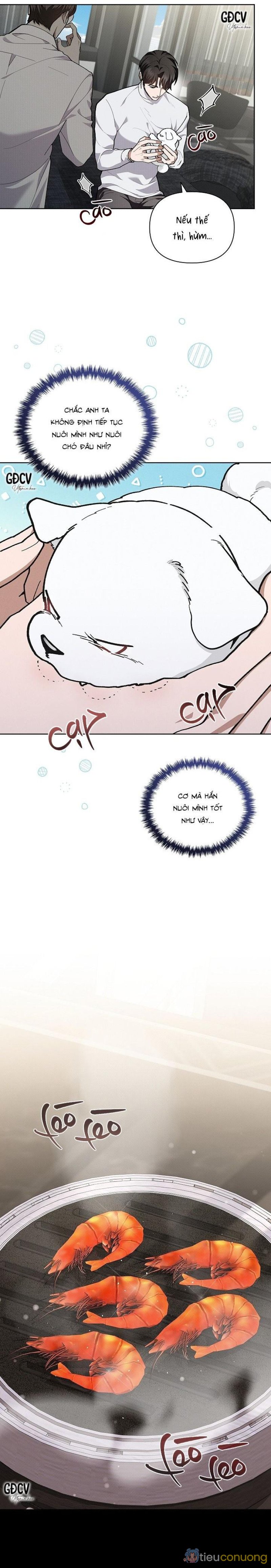 ĐỪNG CHẠM VÀO CÚN CON CỦA TÔI Chapter 7 - Page 9