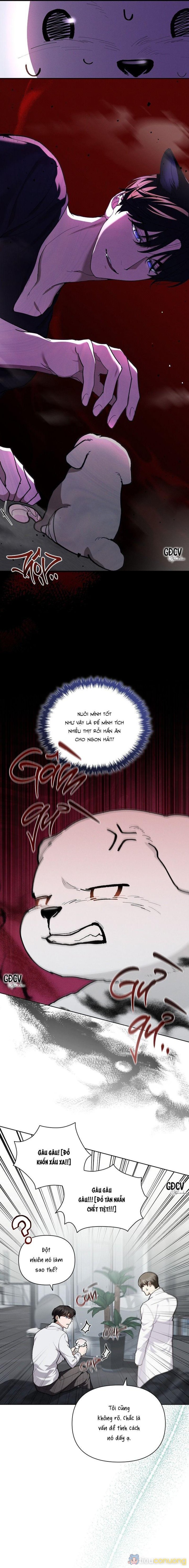 ĐỪNG CHẠM VÀO CÚN CON CỦA TÔI Chapter 7 - Page 12