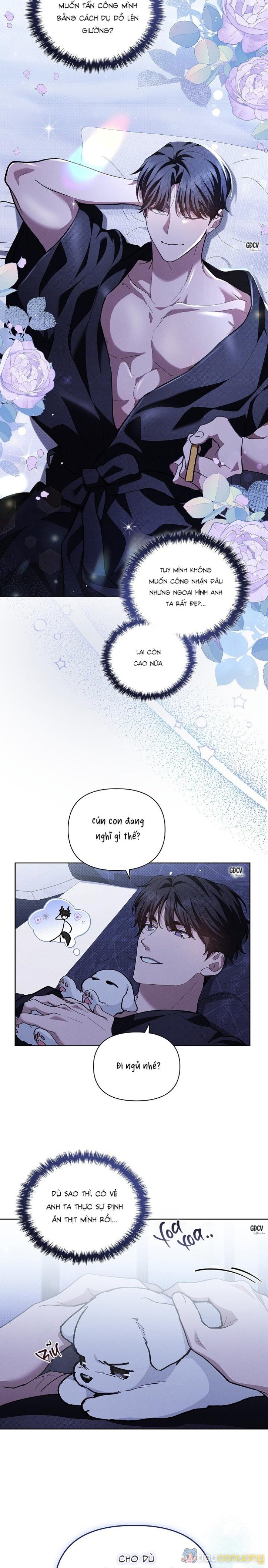 ĐỪNG CHẠM VÀO CÚN CON CỦA TÔI Chapter 8 - Page 29