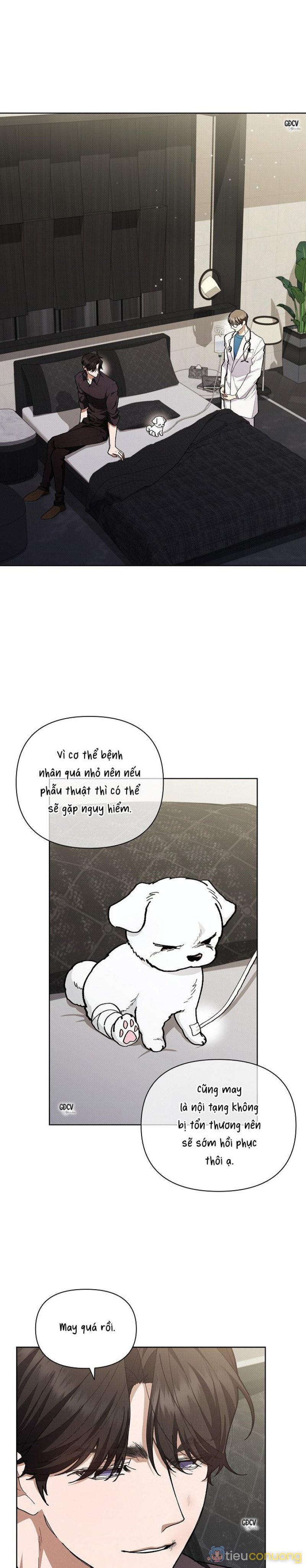 ĐỪNG CHẠM VÀO CÚN CON CỦA TÔI Chapter 4 - Page 1