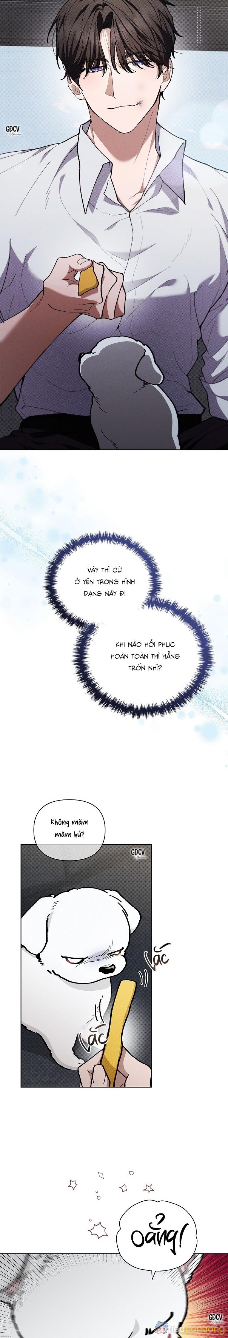 ĐỪNG CHẠM VÀO CÚN CON CỦA TÔI Chapter 4 - Page 28