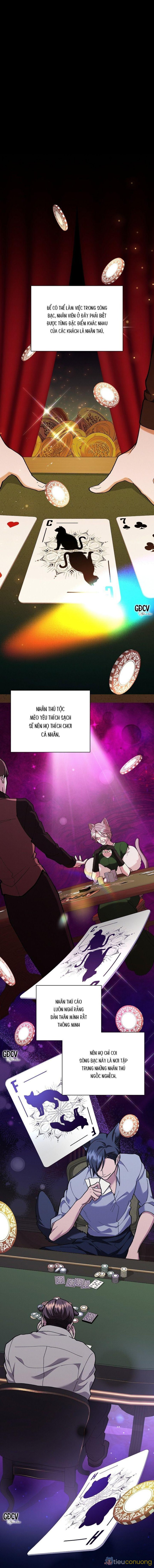 ĐỪNG CHẠM VÀO CÚN CON CỦA TÔI Chapter 5 - Page 1