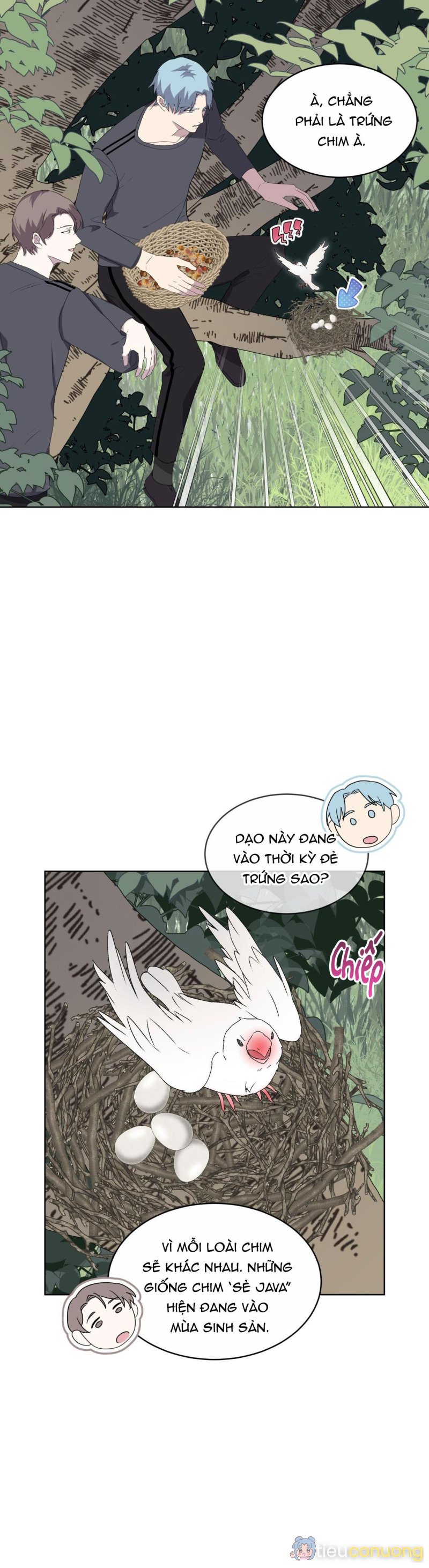 Rừng Biển Chapter 24 - Page 4